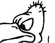 Les oiseaux dans les expressions françaises